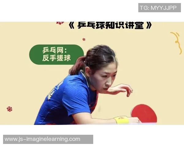 从零起步掌握乒乓球技巧全方位指南助你成为乒乓球高手