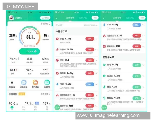 南京羽毛球队实力分析与表现评估的全面数据研究