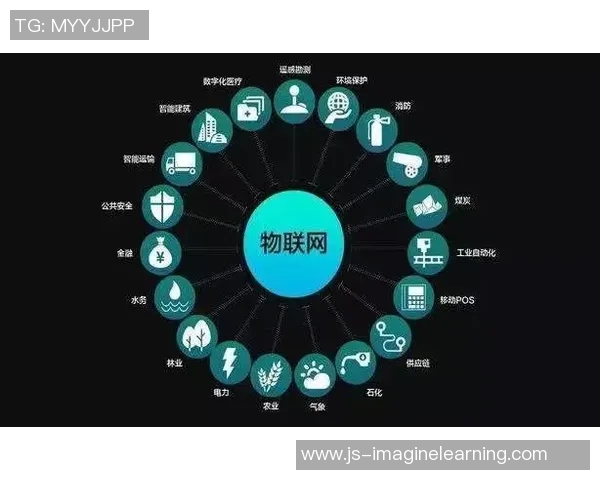 深入探讨上海羽毛球队实力表现的数据分析与未来发展潜力