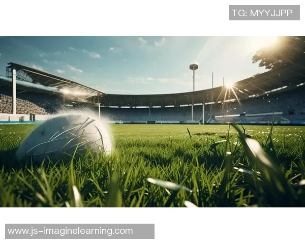 保罗足球明星高清壁纸图片分享让你感受绿茵场上的激情与魅力