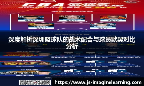深度解析深圳篮球队的战术配合与球员默契对比分析