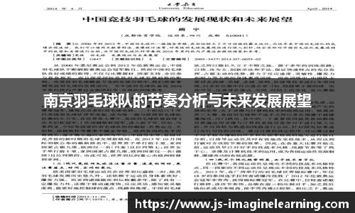 南京羽毛球队的节奏分析与未来发展展望